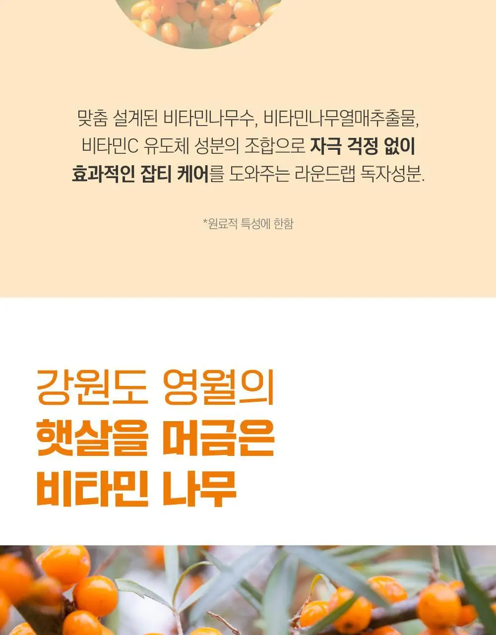 [미백/잡티] 라운드랩 비타 나이아신 잡티크림 50ml 상세페이지 6
